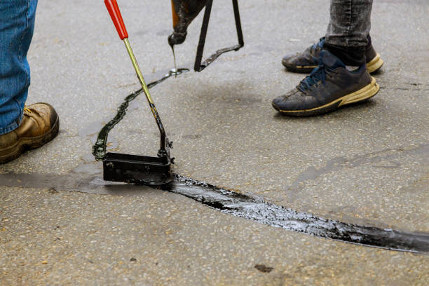 Best Driveway Crack Filling  in Tierra Verde, FL